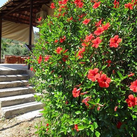 Hostal Countryside House Perachora Exterior foto