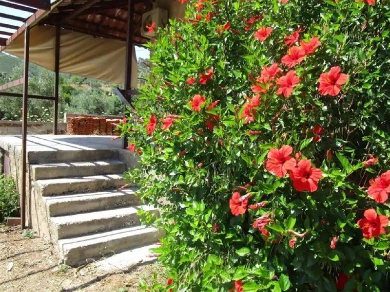 Hostal Countryside House Perachora Exterior foto