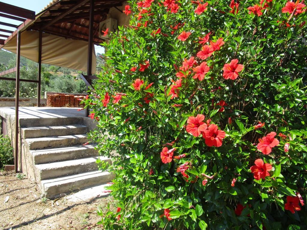 Hostal Countryside House Perachora Exterior foto